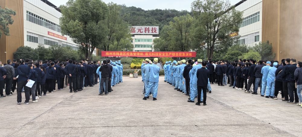 新澳门2024免费原料