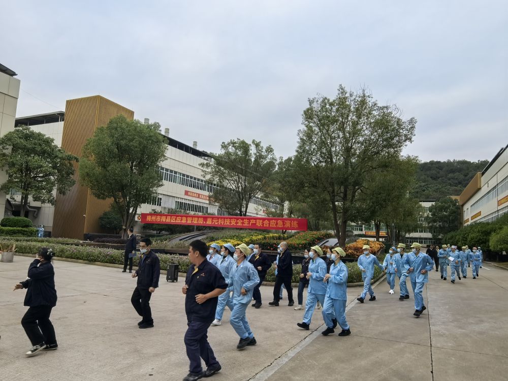 新澳门2024免费原料