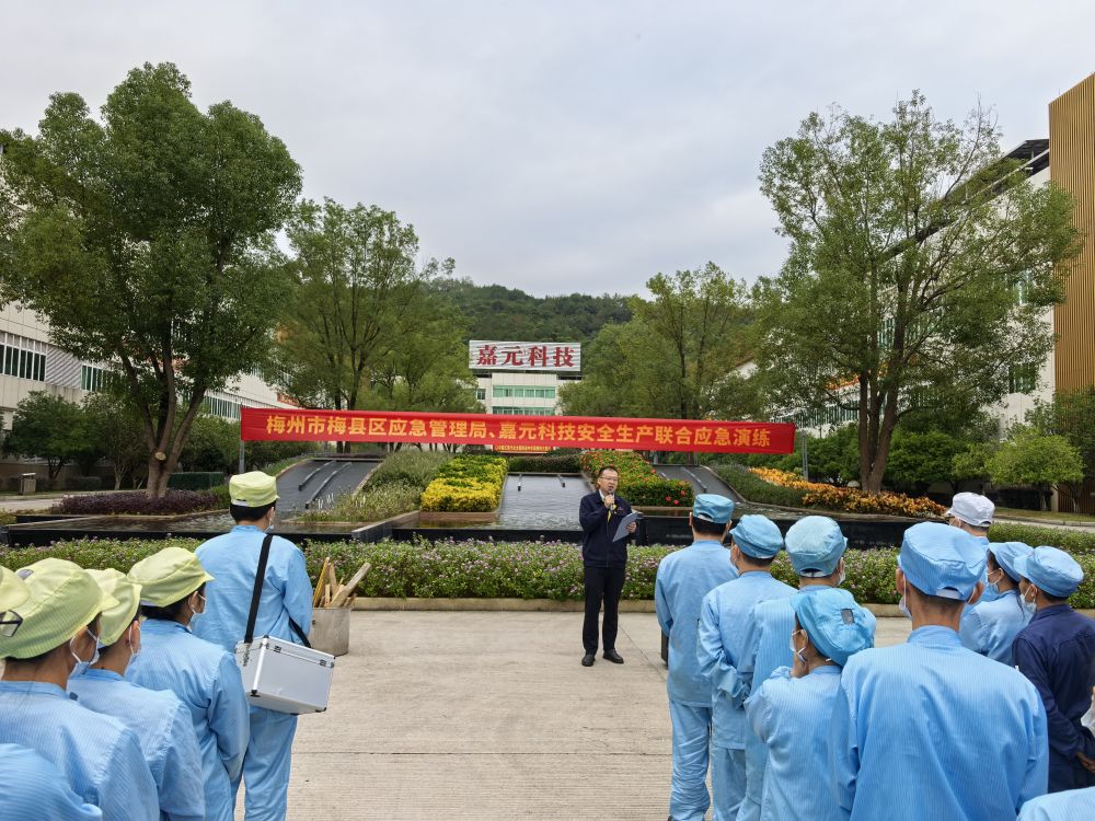 新澳门2024免费原料